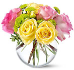  Pink Lemonade Roses Cottage Florist Lakeland Fl 33813 Premium Flowers lakeland