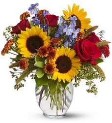 Sunny Skies Cottage Florist Lakeland Fl 33813 Premium Flowers lakeland