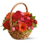 Warm Wishes Cottage Florist Lakeland Fl 33813 Premium Flowers lakeland