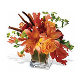 Orange Spice Cottage Florist Lakeland Fl 33813 Premium Flowers lakeland