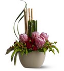 Zen Protea Cottage Florist Lakeland Fl 33813 Premium Flowers lakeland