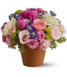 Spring Sonata Cottage Florist Lakeland Fl 33813 Premium Flowers lakeland