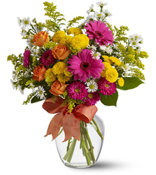 Heat Wave Cottage Florist Lakeland Fl 33813 Premium Flowers lakeland