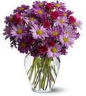 Delightfully Daisy Deluxe Cottage Florist Lakeland Fl 33813 Premium Flowers lakeland