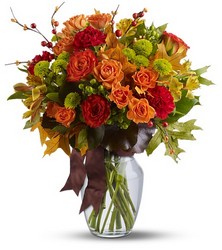 Nature's Wonder Cottage Florist Lakeland Fl 33813 Premium Flowers lakeland