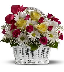 Daisy Dreams Basket Cottage Florist Lakeland Fl 33813 Premium Flowers lakeland