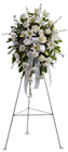 Sentiments of Serenity Spray Cottage Florist Lakeland Fl 33813 Premium Flowers lakeland