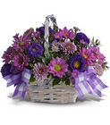 Daisy Day Dreams Cottage Florist Lakeland Fl 33813 Premium Flowers lakeland