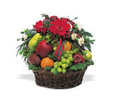 Fruit and Flowers Basket Cottage Florist Lakeland Fl 33813 Premium Flowers lakeland