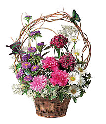 Touch of Butterflies Cottage Florist Lakeland Fl 33813 Premium Flowers lakeland