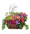 Deluxe European Garden Basket Cottage Florist Lakeland Fl 33813 Premium Flowers lakeland