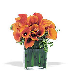 Bronze Callas Cottage Florist Lakeland Fl 33813 Premium Flowers lakeland