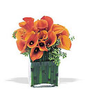 Bronze Callas Cottage Florist Lakeland Fl 33813 Premium Flowers lakeland