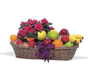 Plant and Fruit Basket Cottage Florist Lakeland Fl 33813 Premium Flowers lakeland