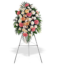 Gentle Thoughts Spray Cottage Florist Lakeland Fl 33813 Premium Flowers lakeland