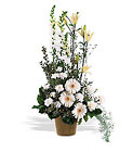 White Impressions Cottage Florist Lakeland Fl 33813 Premium Flowers lakeland
