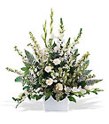 White Expressions Basket Cottage Florist Lakeland Fl 33813 Premium Flowers lakeland