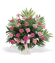 Classic Carnation Arrangement Cottage Florist Lakeland Fl 33813 Premium Flowers lakeland