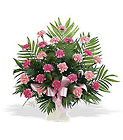 Classic Carnation Arrangement Cottage Florist Lakeland Fl 33813 Premium Flowers lakeland