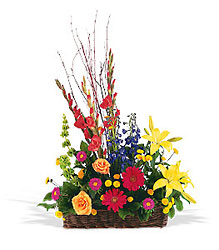 Sunshine Basket Cottage Florist Lakeland Fl 33813 Premium Flowers lakeland