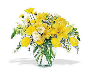 Sunshine Express Cottage Florist Lakeland Fl 33813 Premium Flowers lakeland
