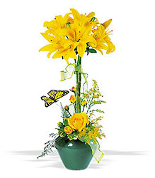 Lily Topiary Cottage Florist Lakeland Fl 33813 Premium Flowers lakeland