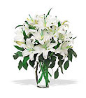 Perfect White Lilies Cottage Florist Lakeland Fl 33813 Premium Flowers lakeland