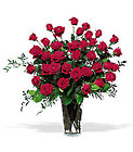 Three Dozen Red Roses Cottage Florist Lakeland Fl 33813 Premium Flowers lakeland