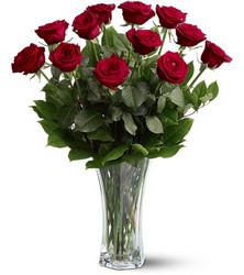 A Dozen Red Roses Cottage Florist Lakeland Fl 33813 Premium Flowers lakeland
