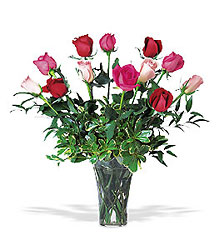 A Dozen Multi-colored Roses Cottage Florist Lakeland Fl 33813 Premium Flowers lakeland