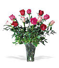 A Dozen Multi-colored Roses Cottage Florist Lakeland Fl 33813 Premium Flowers lakeland