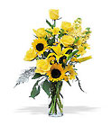 Blazing Sunshine Cottage Florist Lakeland Fl 33813 Premium Flowers lakeland