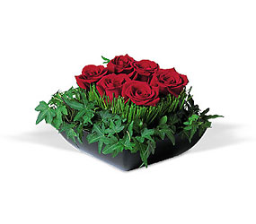 Simply Roses Cottage Florist Lakeland Fl 33813 Premium Flowers lakeland