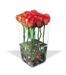 Red Roses with River Rocks Cottage Florist Lakeland Fl 33813 Premium Flowers lakeland