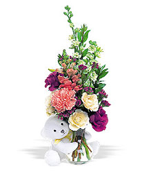 New Baby Bear Cottage Florist Lakeland Fl 33813 Premium Flowers lakeland