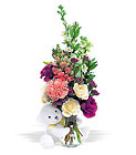 New Baby Bear Cottage Florist Lakeland Fl 33813 Premium Flowers lakeland