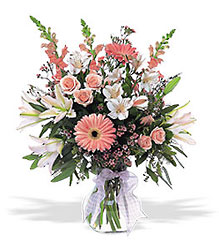 New Baby Girl Arrangement Cottage Florist Lakeland Fl 33813 Premium Flowers lakeland