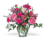 Cheerful Carnations Cottage Florist Lakeland Fl 33813 Premium Flowers lakeland