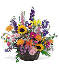 Summertime Sensation Basket Cottage Florist Lakeland Fl 33813 Premium Flowers lakeland