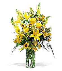 Sunny Days Cottage Florist Lakeland Fl 33813 Premium Flowers lakeland