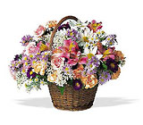 Country Days Cottage Florist Lakeland Fl 33813 Premium Flowers lakeland