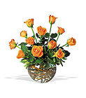 A Dozen Orange Roses Cottage Florist Lakeland Fl 33813 Premium Flowers lakeland
