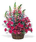 Pink Power Cottage Florist Lakeland Fl 33813 Premium Flowers lakeland