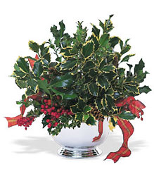 Holly Bowl Cottage Florist Lakeland Fl 33813 Premium Flowers lakeland