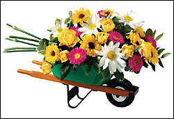 Wheelbarrow Bouquet Cottage Florist Lakeland Fl 33813 Premium Flowers lakeland